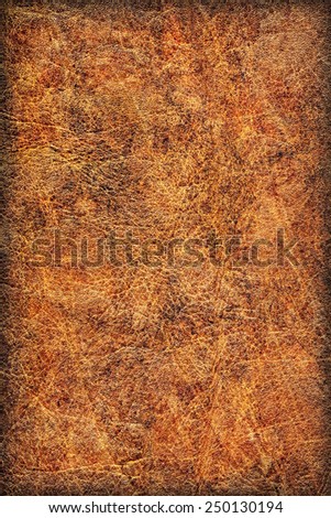 Photograph of old Brown, weathered, rough, creased, coarse grained, exfoliated Cowhide, vignette grunge texture.