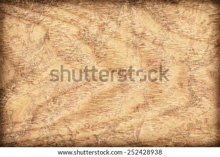 Maple Wood Veneer Yellow Ocher bleached, mottled, vignette, grunge texture sample.
