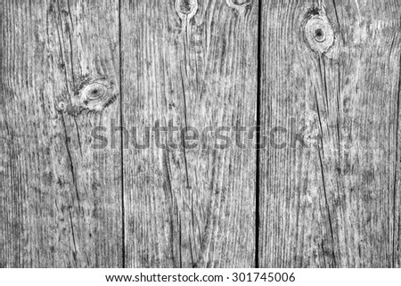 Black and White Photograph of old, knotted, weathered, cracked White Pine floorboards with conspicuous wood knots, grain, and annual growth lines.