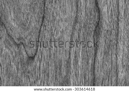 Natural Cherry Wood Veneer Bleached Gray Grunge Texture Sample.