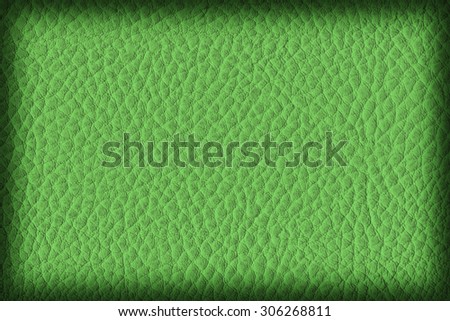 Photograph of Artificial Leather, Vivid Kelly Green, Coarse Vignette Grunge Texture Sample.