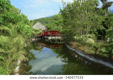 Serene landscape - the bridge in the jungle between trees and palm trees against the blue sky. Vietnam.
