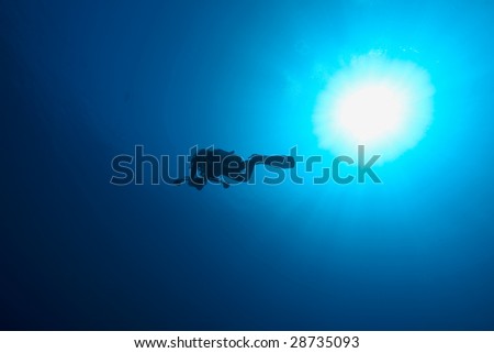 ocean, diver and sun