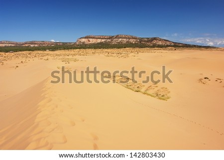 Coral Pink Sand Dunes,Utah