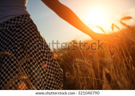 Blurred hand touching wheat spikes with her hand at sunset (intentional sun glare and lens flares, lens focus on spikes, girl in blur)