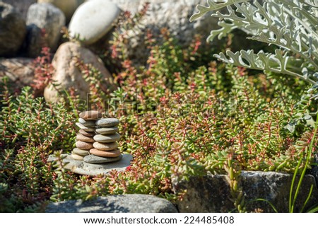 stone on stone between plants in macro