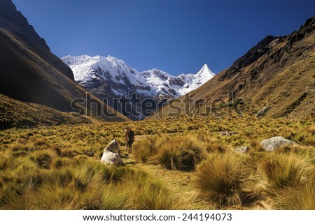 Horses grazing in valley between high mountain peaks in Peruvian Andes