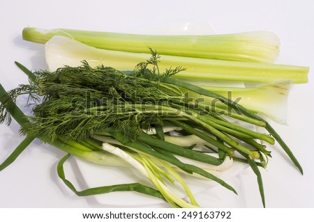 Green onions, fresh fennel, some stalks of a celery