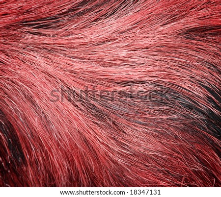 Close-up of textured red hair