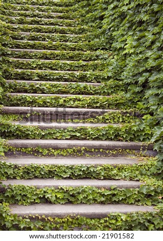 the secret garden- stairs covered with ivy