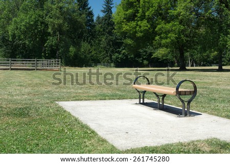 Empty park bench situation in a public park on a hot summer day.