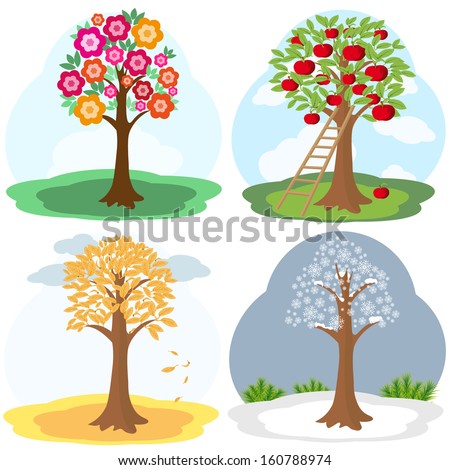 Vector illustration of tree in four seasons: spring, summer, autumn, winter