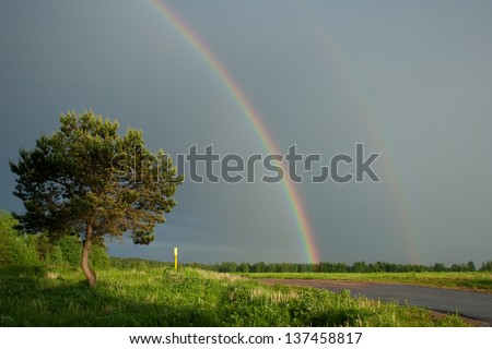 Natural rainbow over green field and dark sky, tree