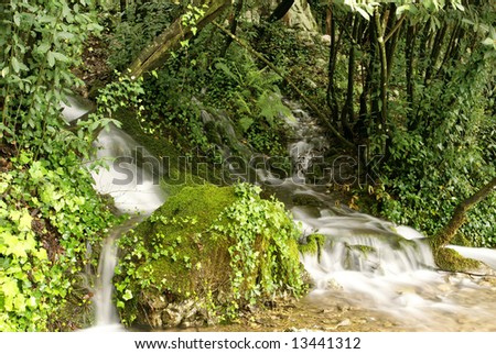 nice scene with a clean river waterfall  in the forest