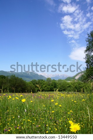 tranquil rural scene with a meadow, forest and mountains over blue sky