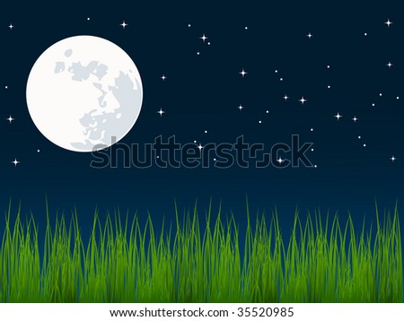 Night Sky Grass