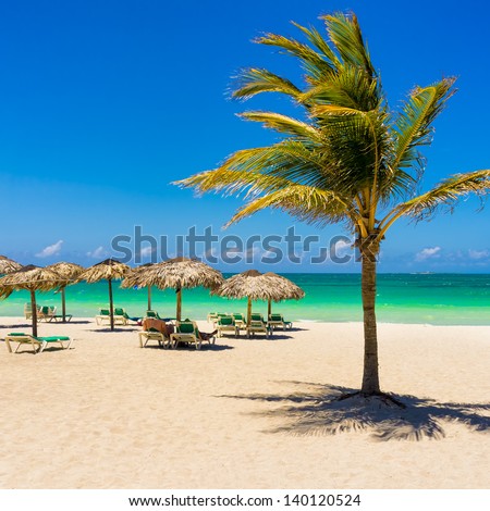 View of Varadero beach in Cuba with a coconut tree, umbrellas and a beautiful turquoise ocean