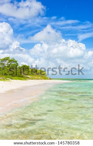 Virgin tropical beach with turquoise water at Cayo Coco (Coco key) in Cuba (on a summer day with puffy white clouds on a blue sky)