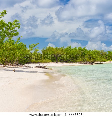 Virgin tropical beach with trees near the water at Coco Key (Cayo Coco) in Cuba on a sunny summer day