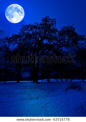 Winter night forest wit a bright full moon in blue shades