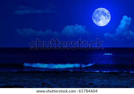 Midnight sea landscape with a full moon and waves breaking on the beach