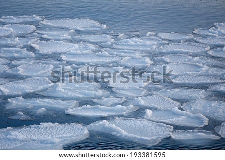 breaking spring ice floe at the sea