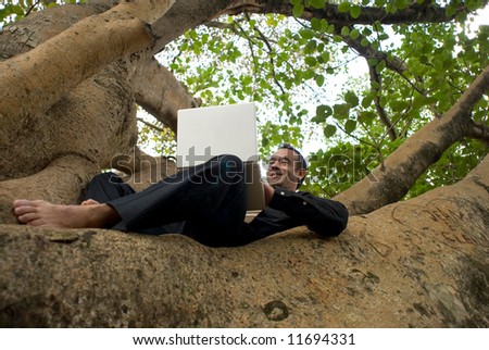 Latin american business executive working on his laptop while sitting in the crook of a tree trunk
