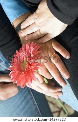 Hands holding onto a pink flower in a lap, while another pair of hands hold the other hands. - vertically framed