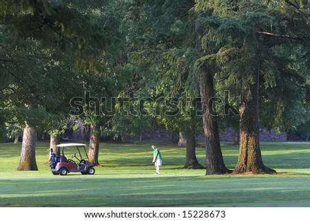 A young man, wearing a green polo shirts and cargo shorts, prepares to hit the golf ball, while standing near trees. Horizontally framed shot.