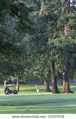 A man is standing on a golf course.  He is standing next to a golf cart and is in swing position.  Vertically framed shot.