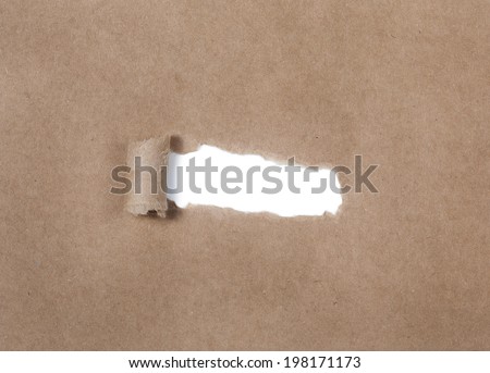 Torn Cardboard Paper, Text Area, Closeup