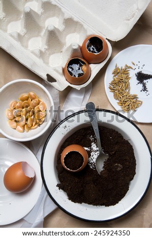 Ecological idea: planting seeds in eggshells