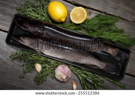Raw pike with lemon, garlic and herbs
