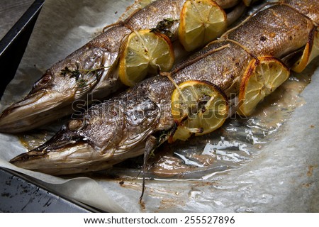 Baked pike with lemon, garlic and herbs