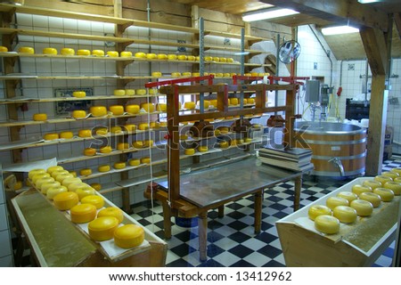 Production of Gauda chees in the Netherlands.