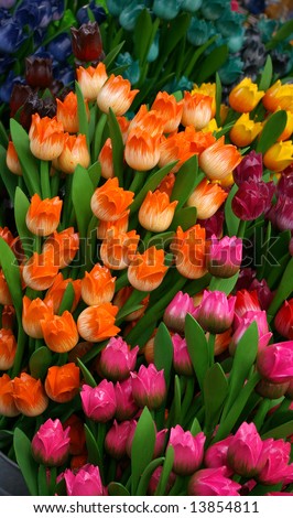 Differently colored wooden tulips at flower market in Amsterdam.