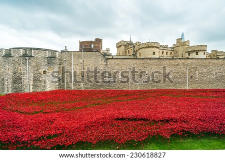 LONDON, October 24 2014:Blood Swept Lands and Seas of Red art installation at Tower of London features 888,246 ceramic poppies.8,000 people are expected to take part in pulling and packing the flowers