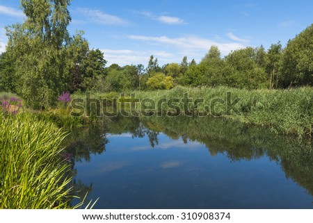 A small pond in London Wetlands Center - WWT nature reserve