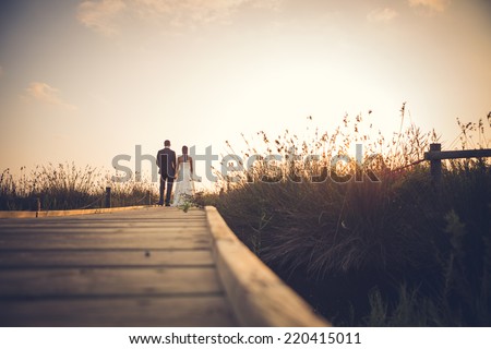 Just married couple on a wooden footbridge