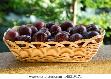 Fresh plums in basket in garden, natural light