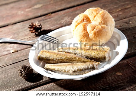 Fried fish on a plastic plate on a bench in the woods