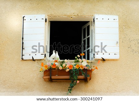Birds and flowers on a window sill