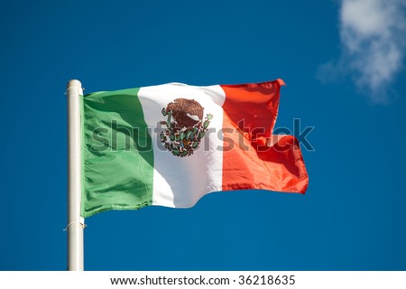 Blank Mexican Flag