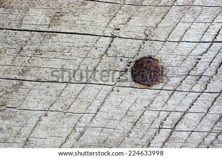 Rusty nail in surface wood