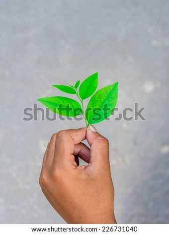 Green leaf on hand, safe the world concept