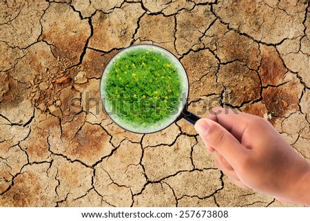 hand holding magnifying find grass on dry cracked the earth