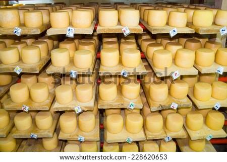 Cheeses lie on the shelves in the warehouse dairy