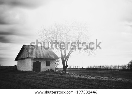 Lonely old house
