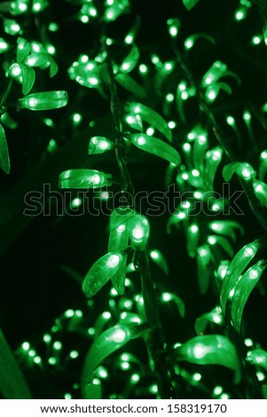 string of lights for christmas
