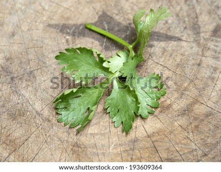 coriander leaves on wooden